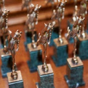 В Ставрополе назвали победителей регионального этапа премии «Золотой Меркурий»